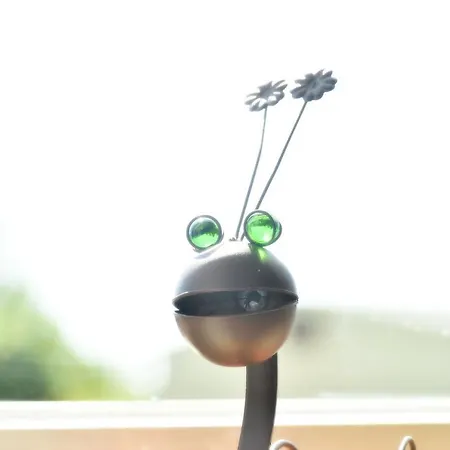 Lueggerts אורחן *