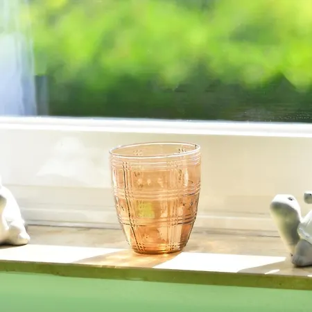 אורחן Lueggerts